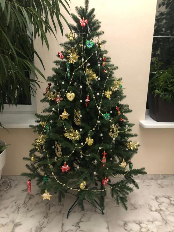 The Gardenapartments أوديسا المظهر الخارجي الصورة